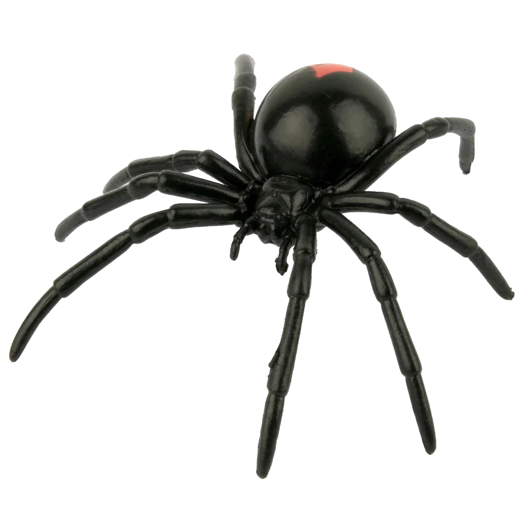 Spider Toy.png